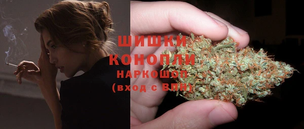сатива Абаза