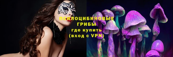 винт Медвежьегорск
