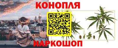 прущие грибы Нарткала
