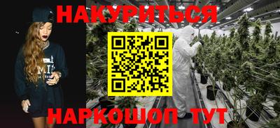 прущие грибы Нарткала
