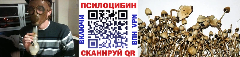 Псилоцибиновые грибы GOLDEN TEACHER  где можно купить наркотик  Химки 