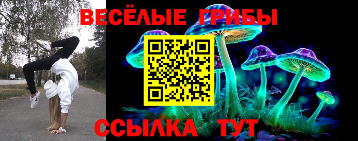 Химки  Псилоцибиновые грибы Magic Shrooms  Вход с VPN 