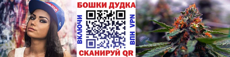 купить  сайты  Химки  Канабис сатива 